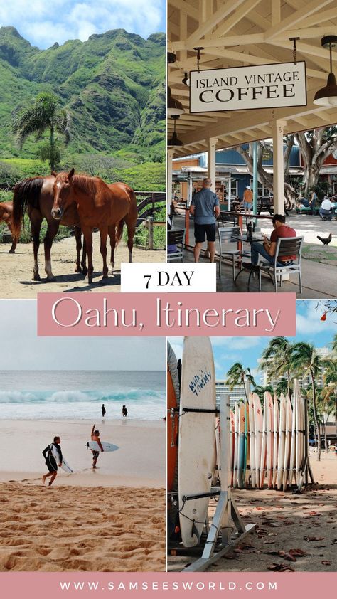 7 Day Oahu Itinerary | Ultimate Hawaii Itinerary Hawaii In February, Honolulu Hawaii Vacation, Hawaii Trips, Hawaii Vacation Outfits, Oahu Activities, Places For Couples, Oahu Things To Do, Hawaii On A Budget, Oahu Itinerary