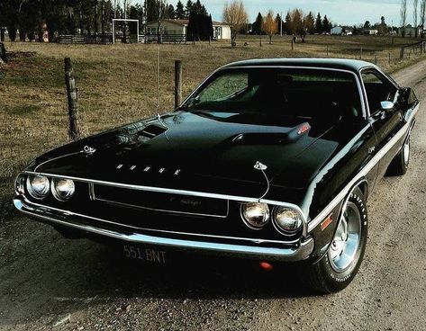 Black 1970 Dodge Challenger Doge Challenger, Black Dodge Charger, Dodge Challenger 1970, Carros Vintage, Plymouth Road Runner, Art Models, Plymouth Duster, Old Muscle Cars, Dodge Muscle Cars