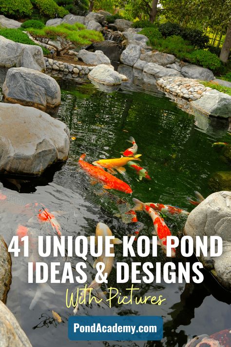 Home Koi Pond, Koi Ponds With Waterfalls, Above Ground Koi Pond Ideas, Coy Pond Ideas Backyards, Modern Koi Pond Design, Small Koi Pond Ideas, Diy Ponds Backyard Simple, Koi Pond Ideas, Koi Pond Backyard