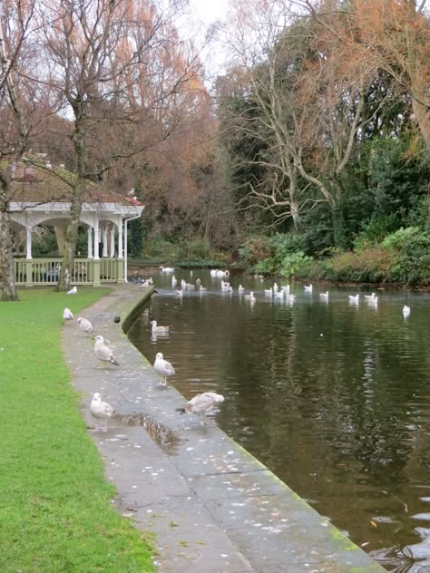 St. Stephens Green - Dublin, Ireland St Stephens Green Dublin, Stephens Green Dublin, Ireland Aesthetic, Sims 4 Cottage, Moving To Ireland, Saint Stephen, Green Park, Dublin Ireland, Emerald Isle