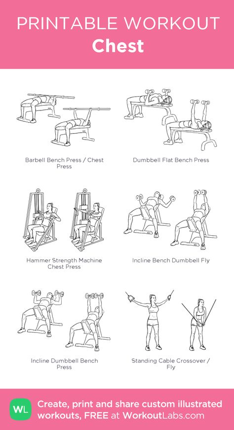 Chest Workout Women Machine, Chest And Bicep Workout, Chest And Back Workout, Chest And Tricep Workout, Chest Workout Women, Workout Chest, Workout Labs, Fitness Studio Training, Workout Gym Routine