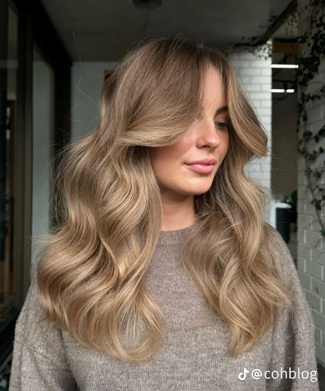 Soft Autumn Blonde Hair, Teddy Blonde, Teddy Bear Blonde Hair, Teddy Blonde Hair, Teddy Bear Blonde, Warm Blonde Hair, Beige Blonde Hair, Rambut Brunette, Fall Blonde Hair