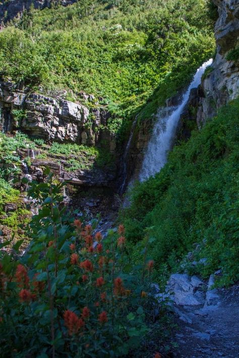 Mount Timpanogos, Lehi Utah, Utah Mountains, Pleasant Grove, Get Outside, In Summer, Geology, See It, Utah