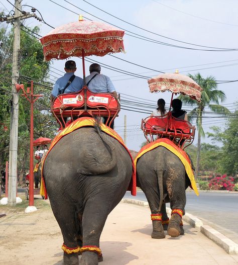 Riding Elephants In Thailand, Riding Elephants, Elephants In Thailand, Ayutthaya Thailand, Thailand Elephants, Elephant Ride, Adventure Book, Travel News, Travel Themes