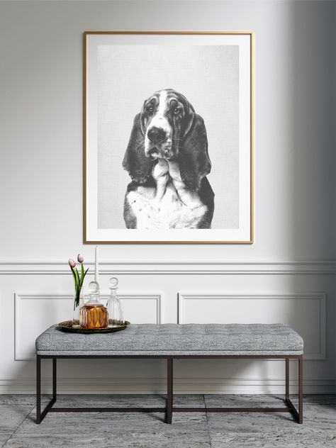 Dog Portrait Wall Decor, Personality Portraits, Big Picture Frames, Picture Display Wall, Basset Hound Art, Pet Artwork, Dog Picture Frames, Photo Collage Wall, Chicago Apartment