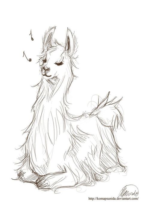 Llama Cards, Lama Animal, Alpaca Drawing, Llama Drawing, Llama Pictures, Llama Painting, Llama Art, Llama Arts, Cute Llama