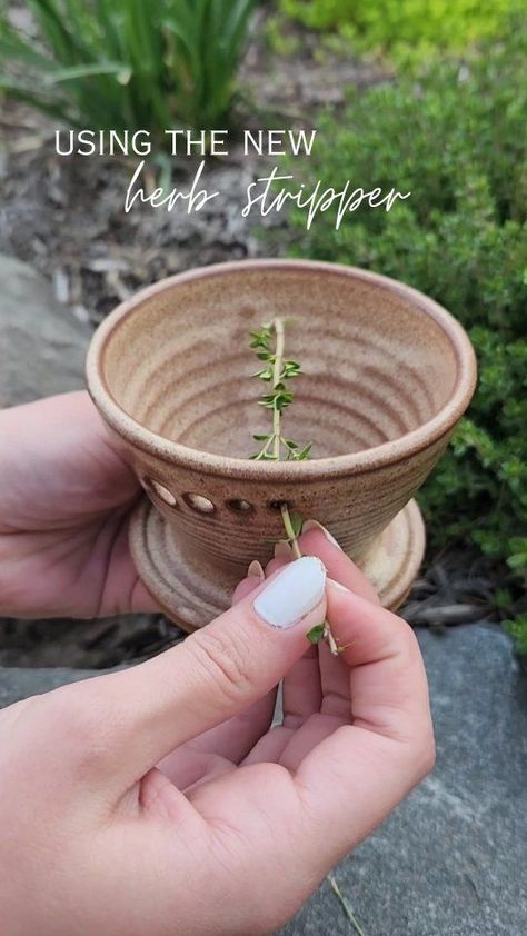 NEW PRODUCT!! The new herb stripper in use! We love how easy this piece makes using and preparing our favorite herbs. Just stick the stem of whatever herb you are using through one of the 5 holes (all different sizes based on the herb) and pull it through allowing the fragrant leaves to fall into the dish. Now you can add to your favorite dishes!! 🌿🍲 • • • • • #pottery #handmadeproduct #shoplocal #shopsmallbusiness #herbstripper #summerproduce #summerproduct #tool #productinuse #herbs #healthy Pottery Herb Pots, Pottery Turning Ideas, Pottery To Sell, Ceramic Throwing Ideas Pottery Wheel, Pottery Projects Handbuilt, Wheel Throwing Projects, Ceramic Inspiration Ideas, Advanced Ceramics Projects, Practical Clay Projects