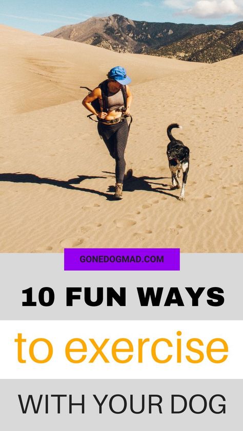 Fun Ways To Exercise, Working Out Together, Ways To Exercise, Fun Brain, Dog Health Tips, Dog Games, Dog Exercise, Dog Health Care, Dog Care Tips