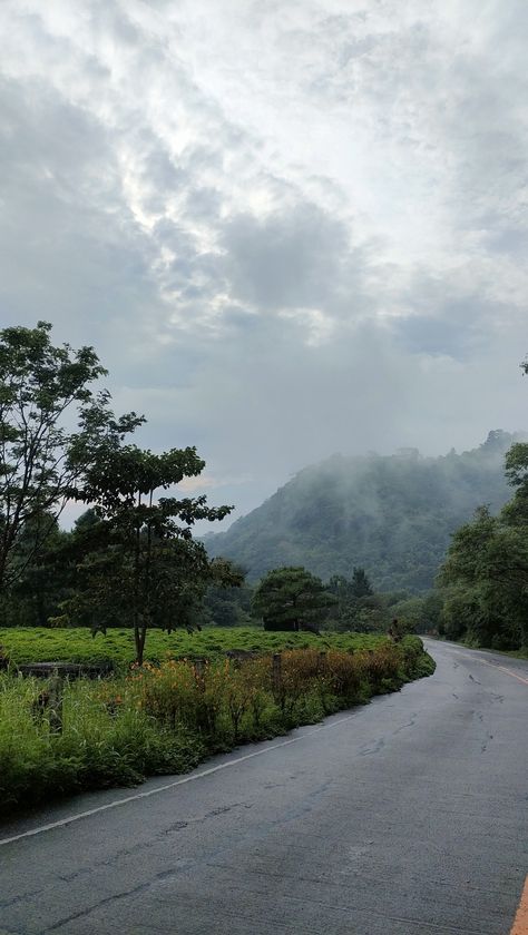 Tanay Rizal, Philippines, Green, Quick Saves, Nature