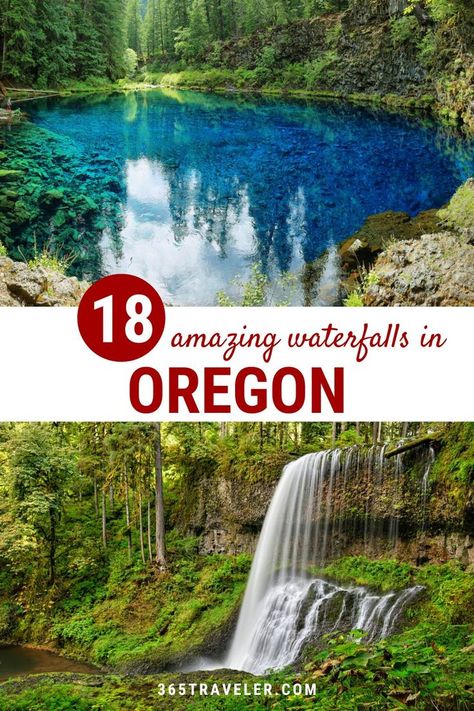 We spent six weeks in Oregon, hiking trails and chasing waterfalls -- and we fell in love with the beauty in this great state! We found so many Oregon waterfalls, that we couldn't wait to share them with you. Additionally, we added 60 additional Oregon waterfall hikes to the map that are on our bucket list. We hope you get to them, too! Here are 18 amazing Oregon waterfalls we know you'll want to explore. Oregon Waterfall Hikes, Oregon Hiking Trails, Oregon Hiking, Oregon Bucket List, Van Life Ideas, Traveling With Pets, Oregon Hikes, Oregon Vacation, Oregon Waterfalls