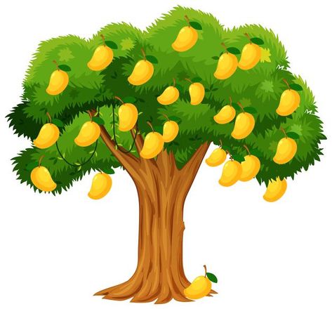 Yellow mango tree isolated on white | Free Vector #Freepik #freevector #food #tree #cartoon #fruit Mango Tree Images, Yellow Mango, Cartoon Maker, Cartoon Trees, Mango Tree, Tree Artwork, Lord Ganesha Paintings, Tree Clipart, Tree Stickers