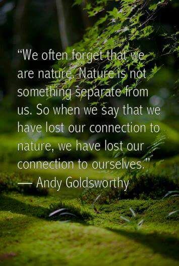 Andy Goldsworthy Mother Nature Quotes, Eckart Tolle, Andy Goldsworthy, Earth Nature, One With Nature, Nature Quotes, A Quote, Mother Earth, Pisa