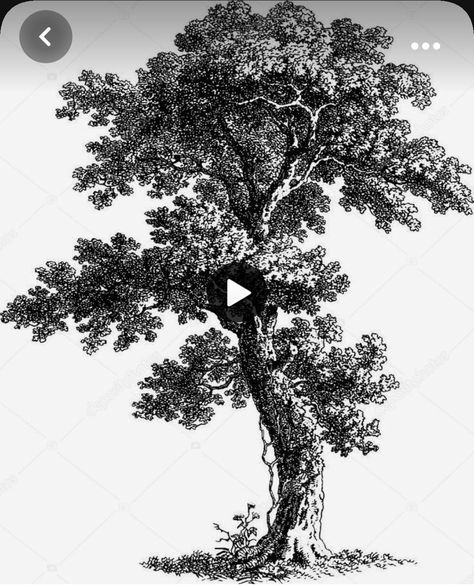 Landscape Drawing Tutorial, Pencil Tree, Landscape Pencil Drawings, Pencil Trees, Tree Drawings Pencil, Nature Sketch, Tree Sketches, Landscape Sketch, Paper Pencil