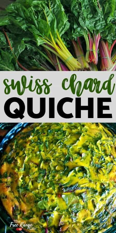 Crustless Chard Quiche- Fresh from the Farm! Chard Quiche, Best Egg Laying Chickens, Laying Chickens, Swiss Chard Recipes, Budget Freezer Meals, Chard Recipes, Egg Laying Chickens, Csa Recipes, Farm Fresh Recipes