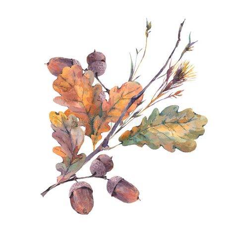 Oak Leaves And Acorns, Watercolor Autumn Leaves, Vintage Bouquet, Fall Watercolor, Botanical Watercolor, Oak Leaves, Watercolor Leaves, Watercolor Inspiration, Drawing Tutorials