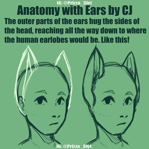 Figures Drawing, Anime Cat Ears, How To Draw Ears, Hybrid Cat, Anatomy Lessons, Drawing Animals, Human Figures, Anatomy Drawing, Poses References