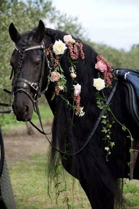 Horse Halloween Costumes, Horse Flowers, Horse Wedding, Horse Mane, Horse Aesthetic, Most Beautiful Horses, Most Beautiful Animals, Friesian Horse, Majestic Horse