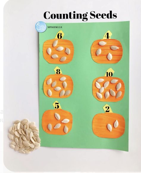 Preschool Math Lesson Plans, Pumpkin Math Activities For Toddlers, Counting Pumpkins Preschool, Fall Tk Activities, Fall Montessori Activities For Preschool, Halloween Week Preschool, Pumpkin Learning Activities Preschool, Pumpkin Preschool Art, Pumpkin Patch Crafts Preschool