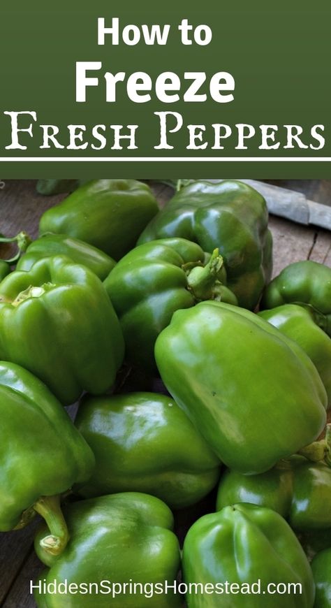 Freezing Green Peppers, Freezing Food Guide, Freezing Bell Peppers, Green Pepper Recipes, Freezing Peppers, Homemade Pickles Dill, Freezing Vegetables, Canning Vegetables, Freeze Greens