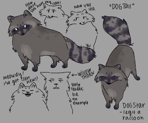 Tanuki Oc, Raccoon Oc Human, Raccoon Oc, Cat Fursona, Racoon Fursona, Raccoon Sketch, Tanuki Fursona, Raccoon Oc Art, Raccoon Fursona