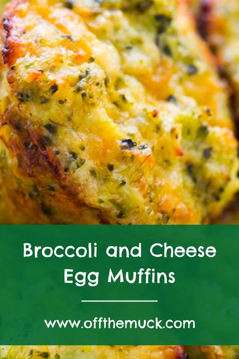 Broccoli and cheese muffins stacked on top of one another. Broccoli And Cheese Muffins, Easy Breakfast On The Go, Mini Pot Pies, Cheese Muffins, Pot Pies Recipes, Egg Muffins, Steamed Broccoli, Broccoli Recipes, Breakfast On The Go