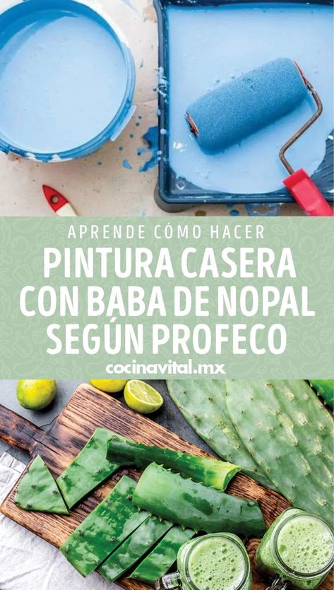 ¿Cómo hacer una pintura de nopal casera? Haz esta pintura casera con baba de nopal con estos sencillos pasos y mejora la apariencia de tus paredes. Cob House, Woodworking Videos, Wooden Cabinets, Diy Wood Projects, Diy Wood, Wooden Diy, Wood Diy, Woodworking Projects, Wood Projects