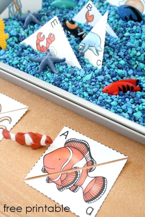 Ocean ABC Sensory Bin-Preschool Ocean Theme activity for sensory play and letter recognition. Free printable included Ocean Lesson Plans, Paper Craft Ideas For Kids, Preschool Ocean, Ocean Theme Preschool, Ocean Activities, Summer Preschool, Abc Activities, Paper Craft Ideas, Craft Ideas For Kids