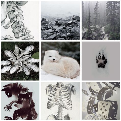 Ice Moodboard, Fox Moodboard, Adopt Idea, Monster Theme, Mood Board Inspiration, Arctic Fox, Color Palette Design, Mood Board Design, Quick Sketch