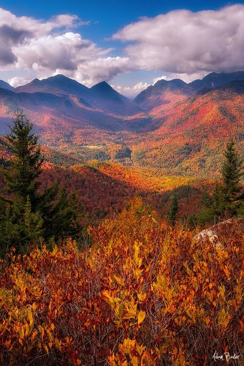 Modern Americana, Autumn In New York, Autumn Foliage, Adirondack Mountains, Autumn Scenes, Autumn Scenery, Fall Pictures, Bougainvillea, Pretty Places