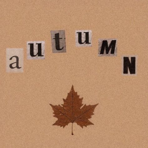 Autumn Aesthetic Icon, Brown Fall Aesthetic, Fall Aesthetic Icons, Autumn Phone Wallpaper, Halloween Wallpaper Cute, Halloween Facts, Fall Mood Board, Cute Fall Wallpaper, Fall Background