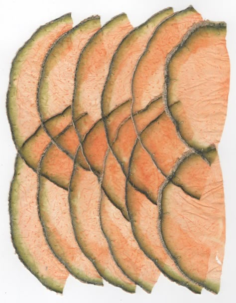 VF Papyrus - Cantaloupe  Handmade in Germany! These vegetable and fruit papyruses are made with real fruits and veggies, thinly sliced using a mandolin. Frame and hang on your walls or use for collage! Decay Fruit Art, Rotten Fruit Photography, A Level Textiles Natural Forms, Mould And Decay Textiles, Papyrus Paper, Growth And Decay Textiles, Art Appliqué, Art Folder, Fruit Art