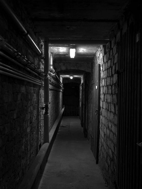 tunnel Mystic Manor, Underground Passage, Creepy Photography, Punk 57, Bg Design, Psychological Thriller, Have Inspiration, Horror Film, Ex Machina