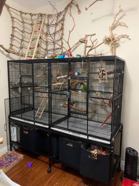 Homemade Bird Aviary, Diy Bird Play Stand, Diy Large Bird Cage, Parrot Setup, Cockatiel Bird Cage Setup, Budgie Cage Setup Ideas, Bird Cage Setup Ideas, Cockatiel Cage Setup Ideas, Budgie Enclosure