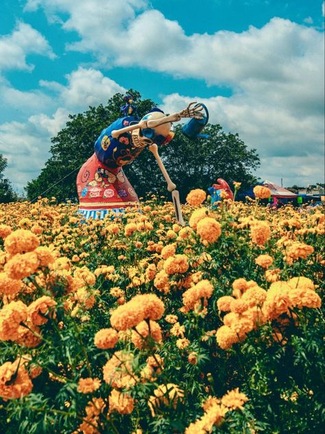 The importance of marigolds for Día De Los Muertos or Day of the Dead Day Of The Dead Marigolds, Marigold Art, Departed Soul, Mexican Traditions, The Day Of The Dead, The Departed, Marigold Flower, Altar Decorations, Vibrant Flower