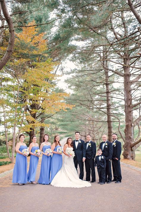 Cornflower Blue Bridesmaid Dresses, Cornflower Wedding, Cornflower Dress, Cornflower Blue Wedding, Fall Tree, Blue Bridesmaid Dress, Blue Wedding Flowers, Blue Themed Wedding, September Wedding