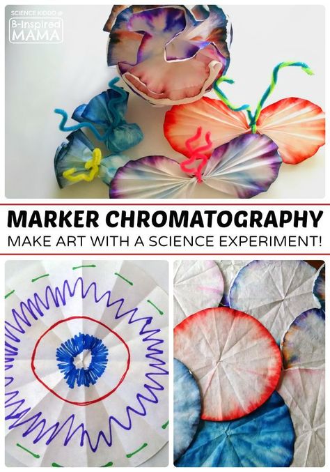 Marker Chromatography Science Experiment for Kids - Combining Art and Science at B-Inspired Mama Chromatography Experiment, Vetenskapliga Experiment, Chromatography For Kids, Science Experiments Kids Easy, Science Experience, Science Experiment For Kids, Homeschooling Preschool, Experiment For Kids, Science Camp