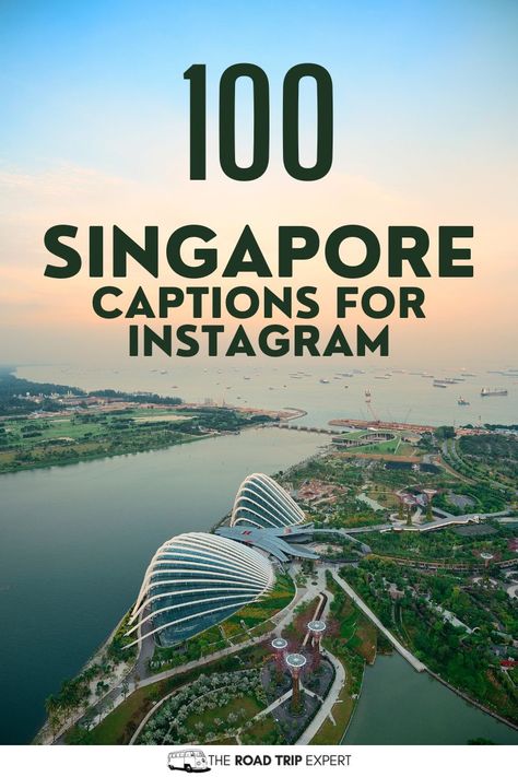 Enjoy this awesome list of the best Singapore Captions for Instagram. Singapore Quote, Captions For Instagram Photos, Merlion Singapore, Singapore Vacation, Vacation Captions, Holiday In Singapore, Singapore River, Singapore Botanic Gardens, Singapore Zoo