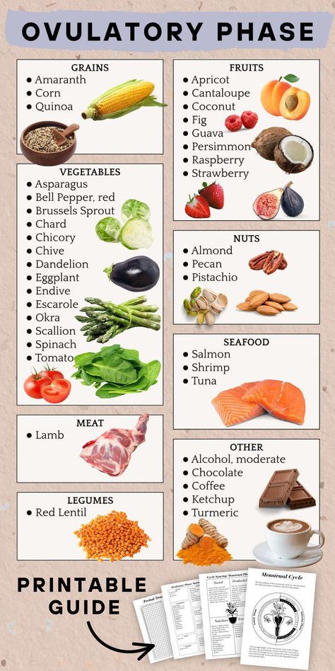 Menstrual Cycle Food Chart, Cycle Syncing Foods Vegan, Ovulatory Phase Recipes, Cycle Syncing Meal Plan, Ovulatory Phase Foods, Tracker Bujo Ideas, Inner Seasons, Cycle Syncing Diet, Journal Period Tracker