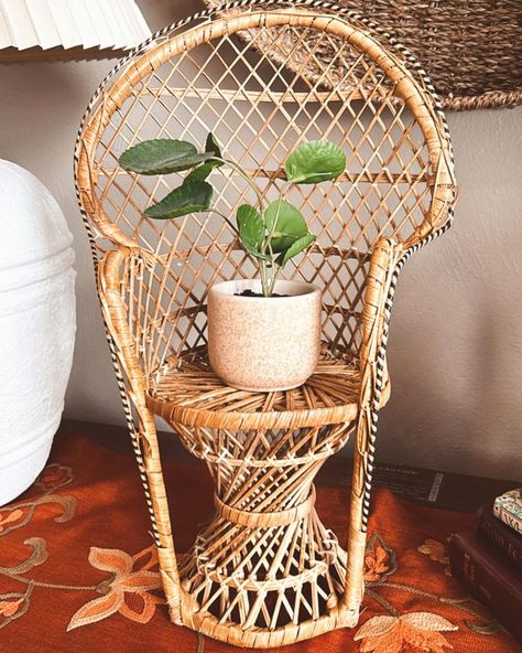 Woven Roots | online flea market | Mini Peacock Chair Plant Stand | Home decor, clothes, & accessories | Chair Plant Stand, Room Theme, Thanks For Shopping, Peacock Chair, Chair Decorations, Plant Lady, Room Themes, Clothes Accessories, Plant Stand