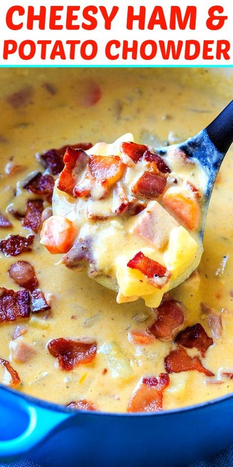 Cheesy Ham and Potato Chowder - Spicy Southern Kitchen Potato Soup With Ham And Bacon, Ham And Potatoes Soup, Leftover Ham Recipes Soup, Ham And Potato Chowder, Potato And Ham Soup, Leftover Ham Recipes Casseroles, Bacon Carrots, Crockpot Ham And Potatoes, Ham Potato Soup