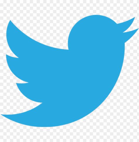 Twitter Logo Png, Twitter Icon Aesthetic, Twitter Icon Png, Twitter Png, Logo White Background, Blue Twitter Header, New Instagram Logo, Student Images, Images Emoji