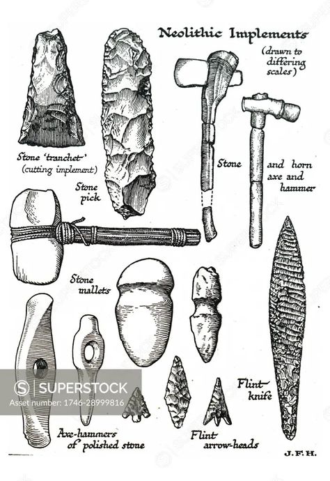 Engraving depicting Neolithic Implements including a stone tranchet, stone pick, stone and horn axe, flint knife, stone mallets, axe-hammers made from polished stone and flint arrow-heads. Dated 19th Century - SuperStock Stone Spear, Flint Knives, Neolithic Tools, Viking Hatchet, Rights And Responsibilities, Vintage Axes Tools, Neolithic Tools Stone Age, Technology Tools, Hammers