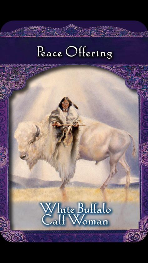 Ascended Masters Oracle Cards, White Buffalo Calf Woman, Prayer For Help, Peace Offering, Spirit Signs, Angel Signs, Angel Oracle Cards, Oracle Card Reading, Doreen Virtue