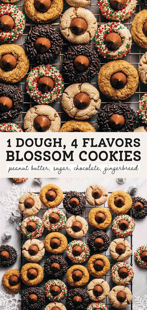 One dough is used to make four blossom cookie flavors! Classic peanut butter, gingerbread, dark chocolate, and sugar cookie. It's the perfect recipe for a cookie exchange or Christmas cookie boxes! #blossomcookies #christmascookies #kisscookies #butternutbakery | butternutbakeryblog.com Christmas Hershey Kiss Cookies, One Dough Many Cookies Christmas, New Christmas Cookies 2024, Christmas Blossom Cookies, 1 Dough Multiple Cookies, Classic Christmas Baking, Blossom Cookie Recipes, Finger Print Cookies, Blossom Cookies Christmas