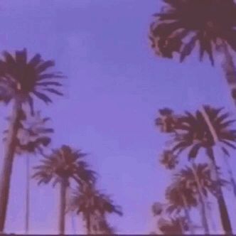 Johns Extras Vhs Edits, Aesthetic Gifs, Boujee Aesthetic, Badass Aesthetic, 80s Aesthetic, Vaporwave Aesthetic, Lo Fi, 90s Aesthetic, Aesthetic Gif