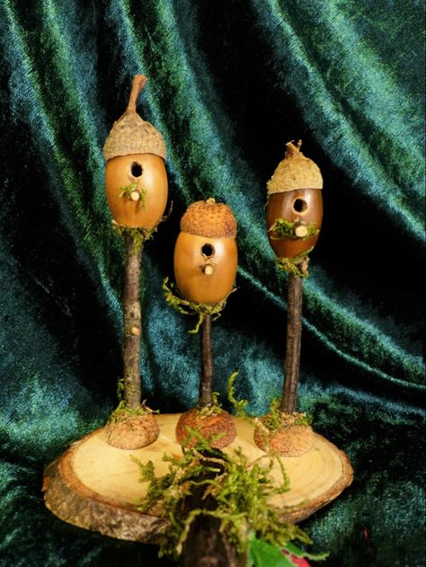 Miniature Garden Decor, Fairy Garden Gifts, Fairy House Crafts, Fairy Garden Furniture, Acorn Crafts, Fairy House Diy, Fairy Garden Crafts, Fairy Garden Designs, Fairy Accessories