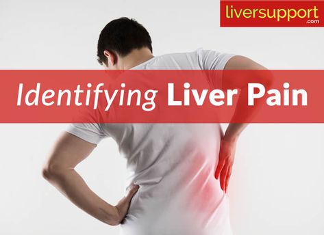 Identifying Liver Pain Liver Healthy Foods, Liver Cleanse Juice, Enlarged Liver, Cleanse Juice, Kidney Pain, Body Detox Cleanse, Medical Surgical Nursing, Lower Back Pain Exercises, Preventative Health