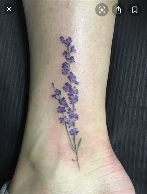 Larkspur Tattoo Color, Delphinium Flower Tattoo, Larkspur Flower Tattoo, Delphinium Tattoo, Larkspur Flower Tattoos, Larkspur Tattoo, Delphinium Flower, Peach Tattoo, Larkspur Flower