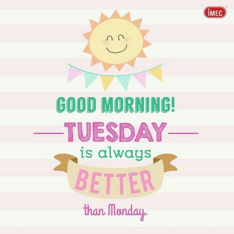 Happy Tuesday!🤗  I Survived Monday!!!🙌🏽 Cute Tuesday Quotes Good Morning, Morning Quotes Aesthetic, Tuesday Morning Quotes, Happy Tuesday Morning, Tuesday Quotes Good Morning, Tuesday Greetings, Monday Pictures, Weekend Greetings, Morning Tuesday