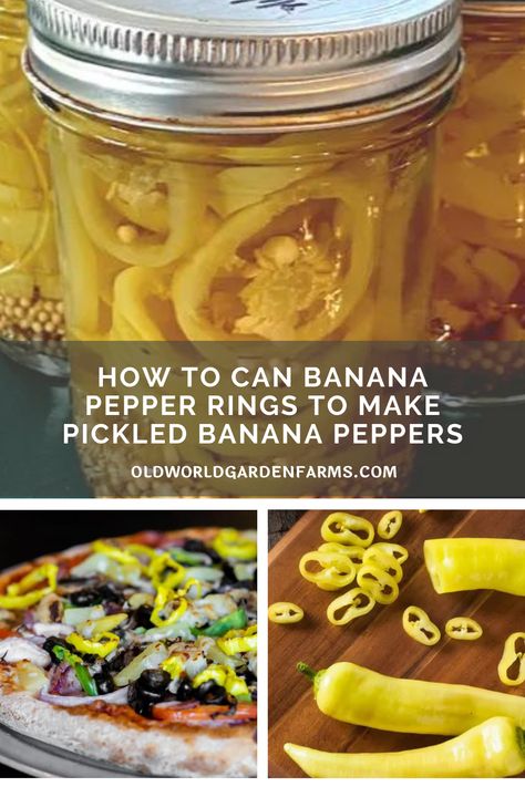 Pickling Sweet Peppers Recipe, Canning Yellow Banana Peppers, Pickled Sweet Banana Peppers Recipe Canning, Pickled Yellow Banana Peppers, Ways To Preserve Peppers, Picking Banana Peppers, Canning Recipe For Banana Peppers, Canning Mild Banana Peppers, Canned Sweet Banana Peppers